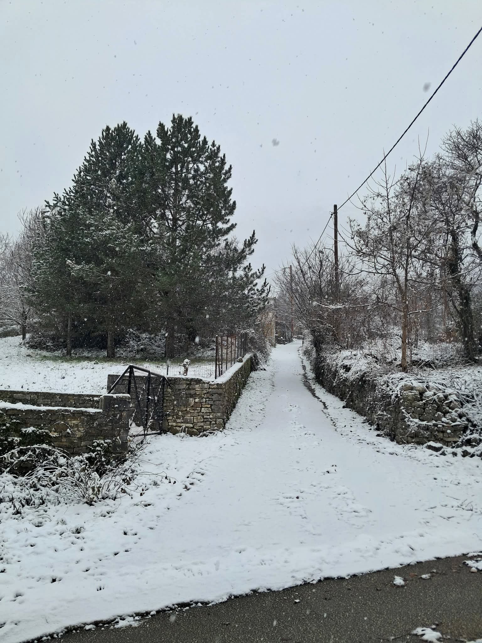 Χιονισμένος δρόμος στην Πωγωνιανή τον χειμώνα